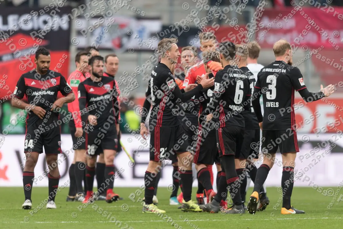 mf_FCIGF_20180203_1326