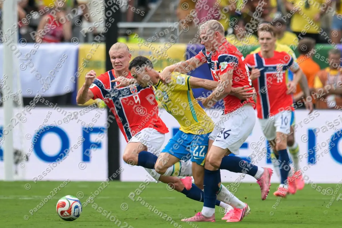 BRANOR_20260705_3978