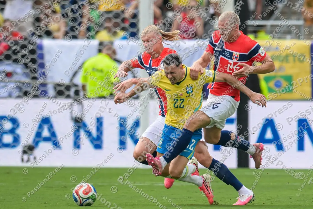 BRANOR_20260705_3981