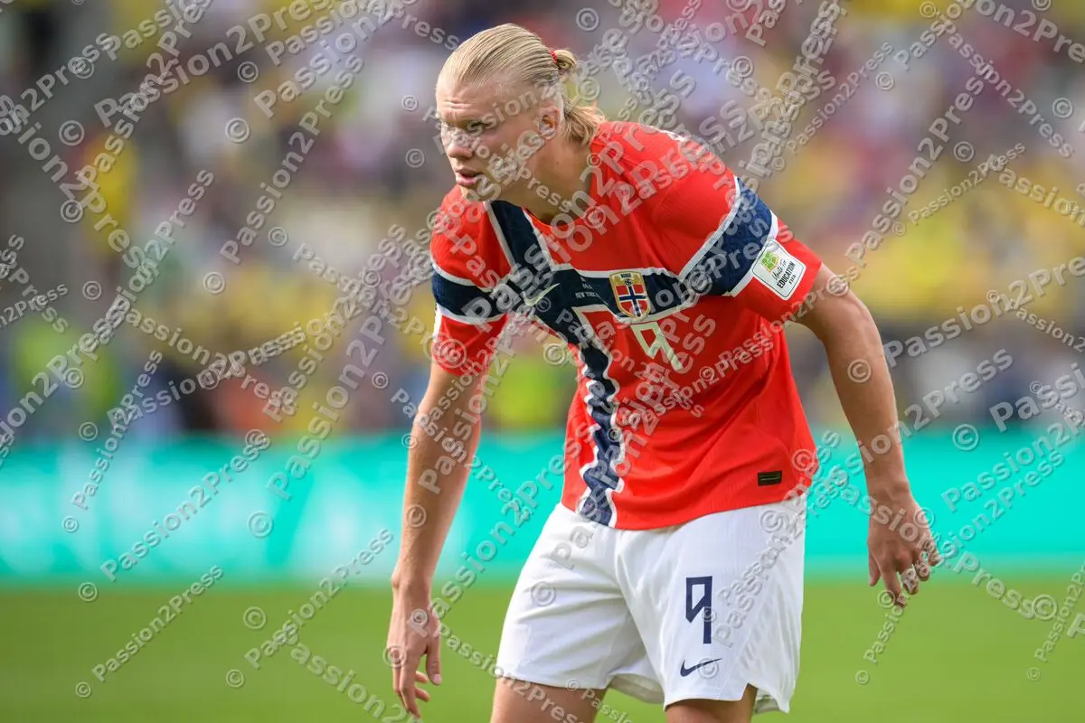 BRANOR_20260705_4348