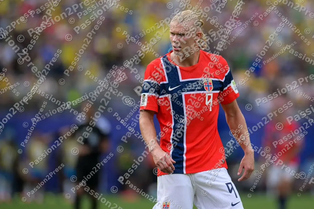 BRANOR_20260705_4944