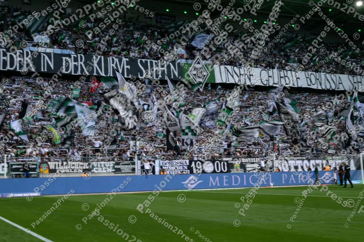 BMGSVE_20260905_4022