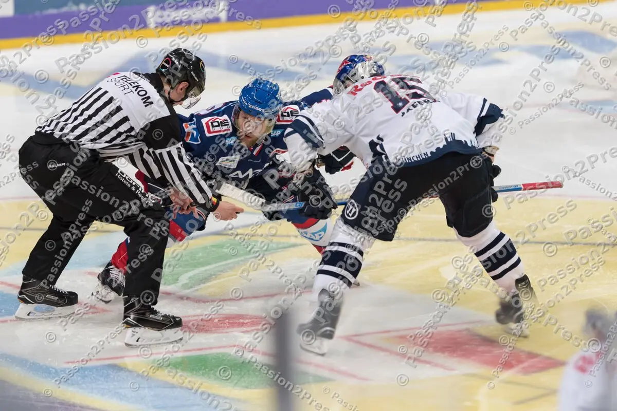 mf_AMRBM_20180404_0683