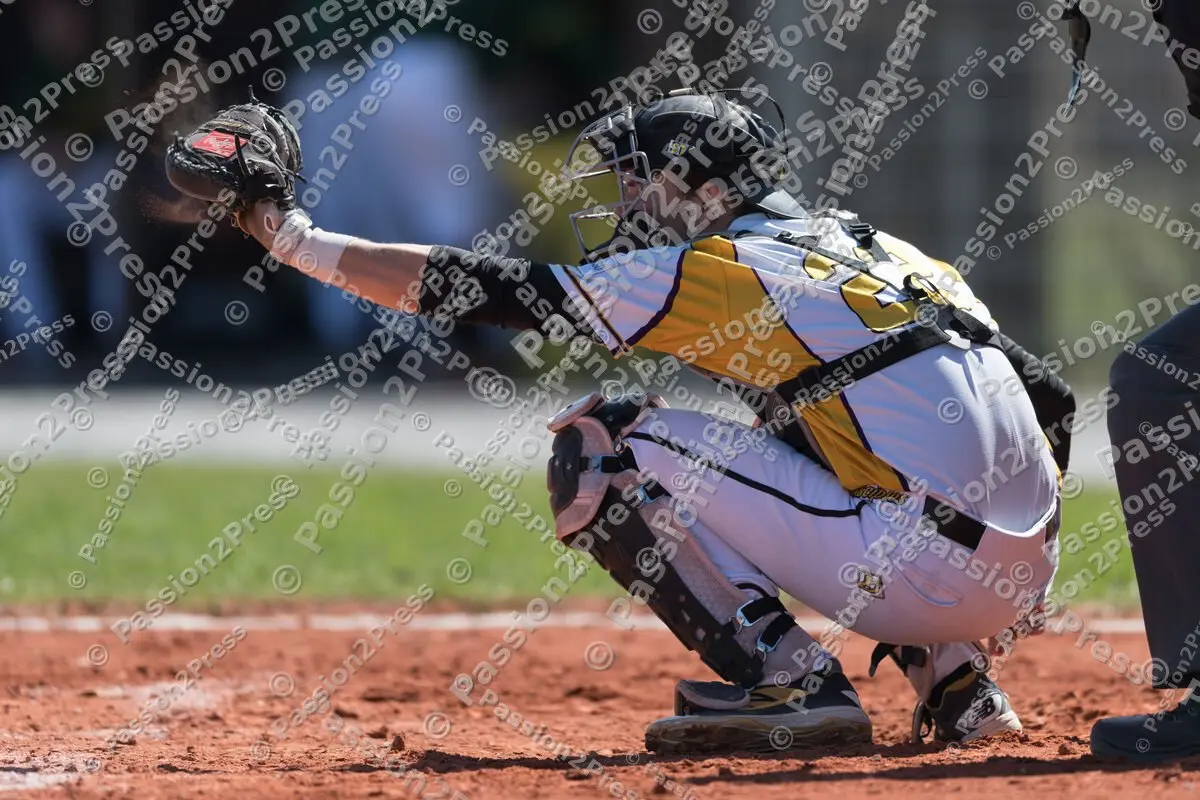 mf_HDSH_20180407_0322