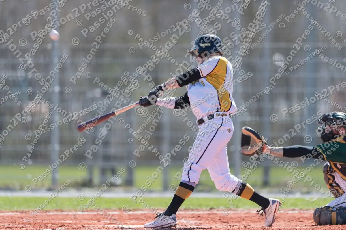 mf_HDSH_20180407_0432