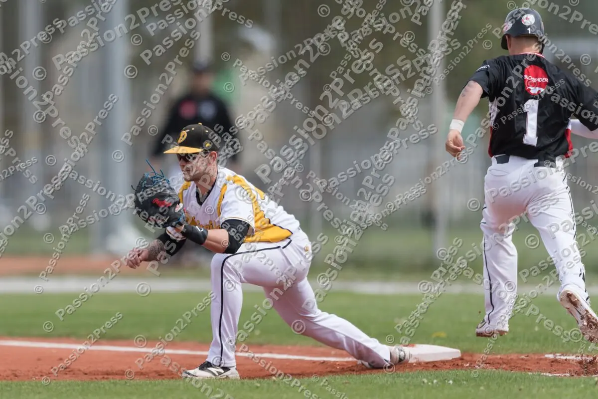 mf_HDBR_20180501_0132