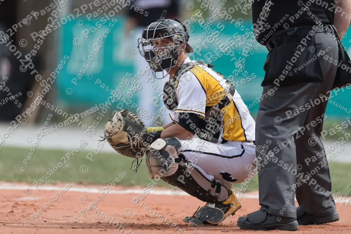 mf_HDBR_20180501_0141