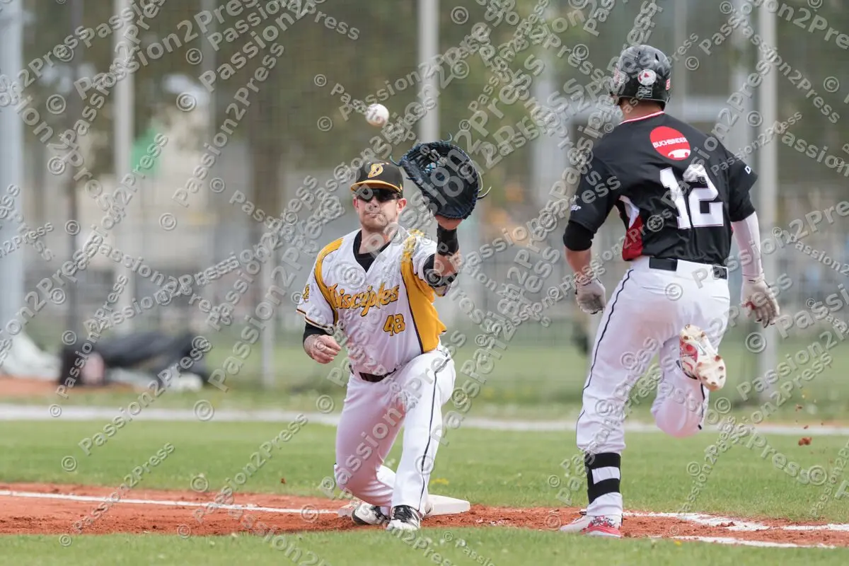 mf_HDBR_20180501_0155