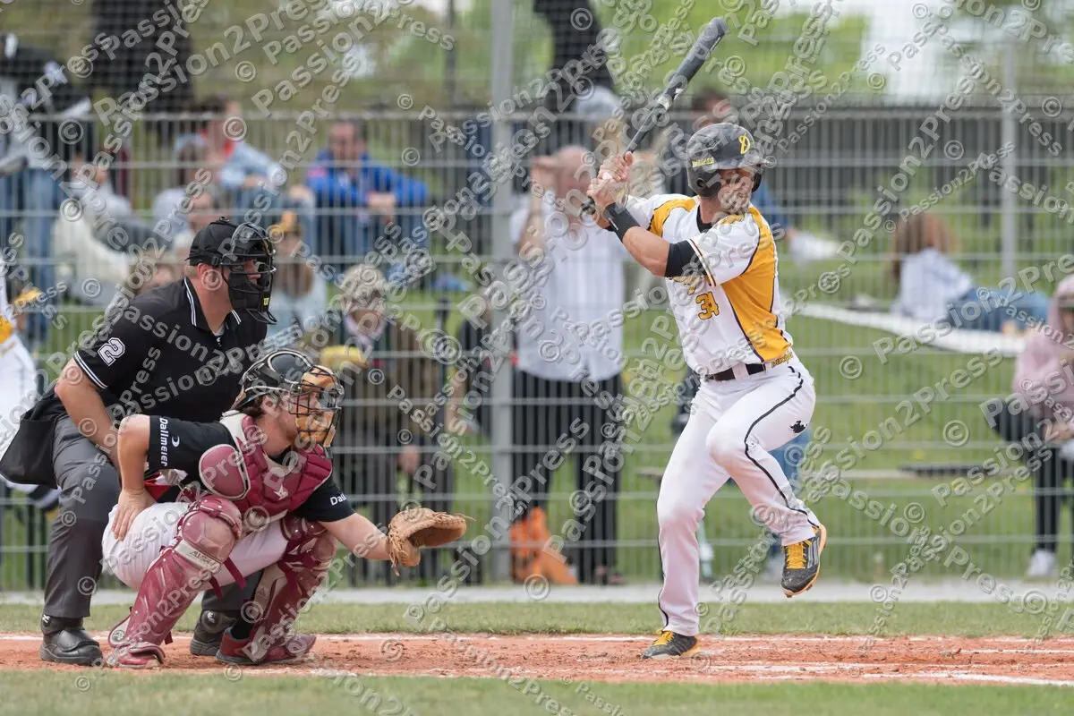 mf_HDBR_20180501_0333