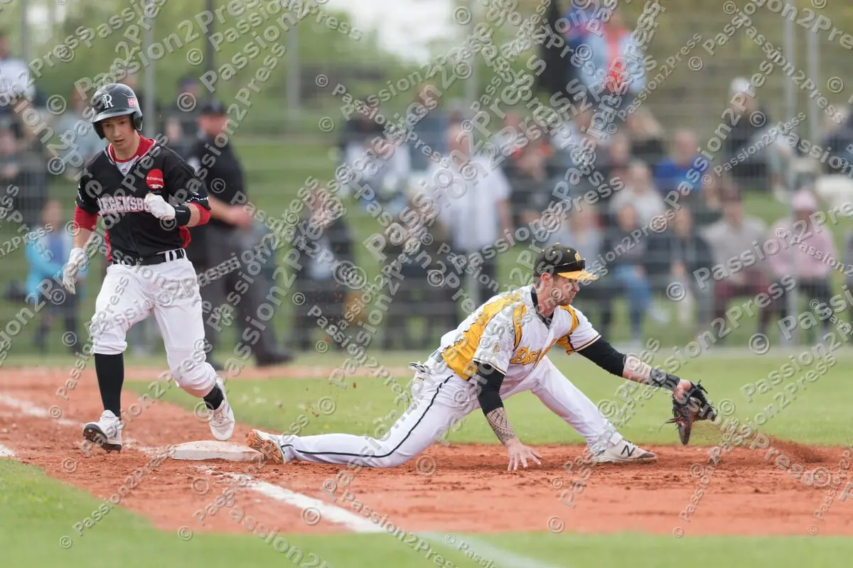 mf_HDBR_20180501_0665