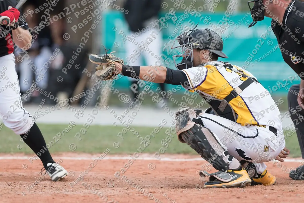 mf_HDBR_20180501_1119