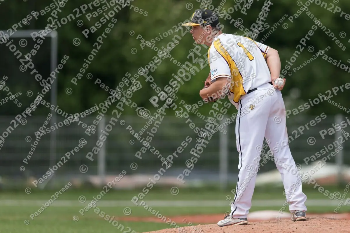 mf_HDSR_20180526_0613