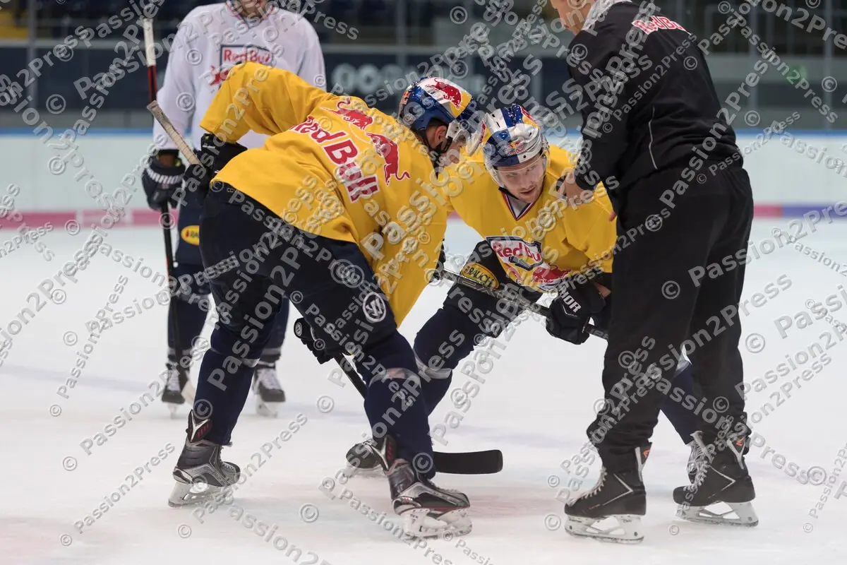 mf_RBM_20180913_0564