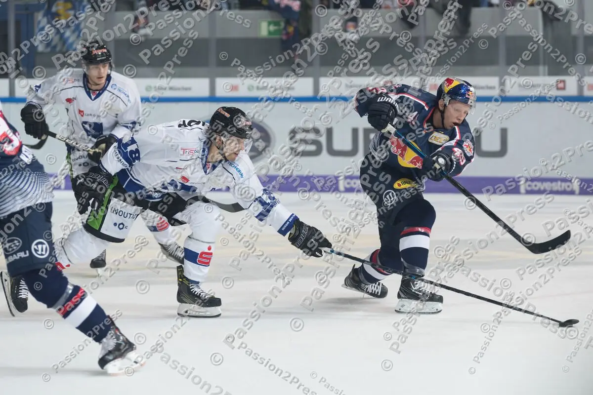 mf_RBMSR_20180916_0489