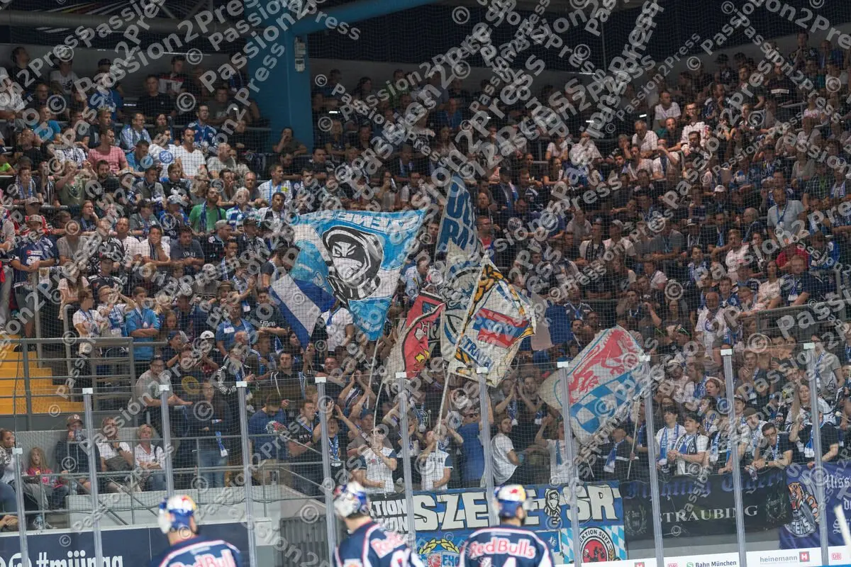 mf_RBMSR_20180916_0773