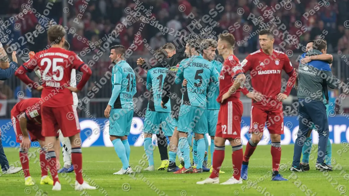 FCBSCF_20181103_1624