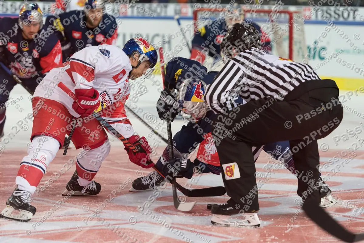 RBSRBM_20190116_0891