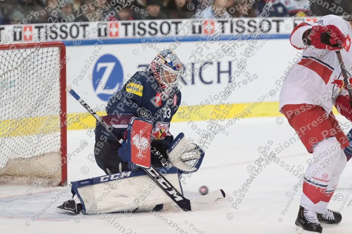 RBSRBM_20190116_1271