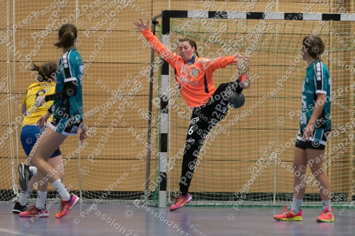 HT_MUC_20190202_0330