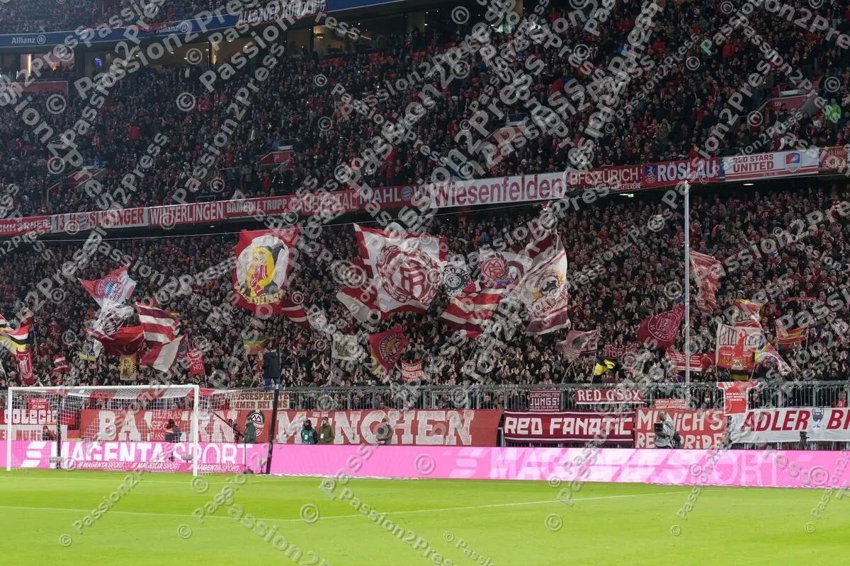 FCBS04_20190209_0317