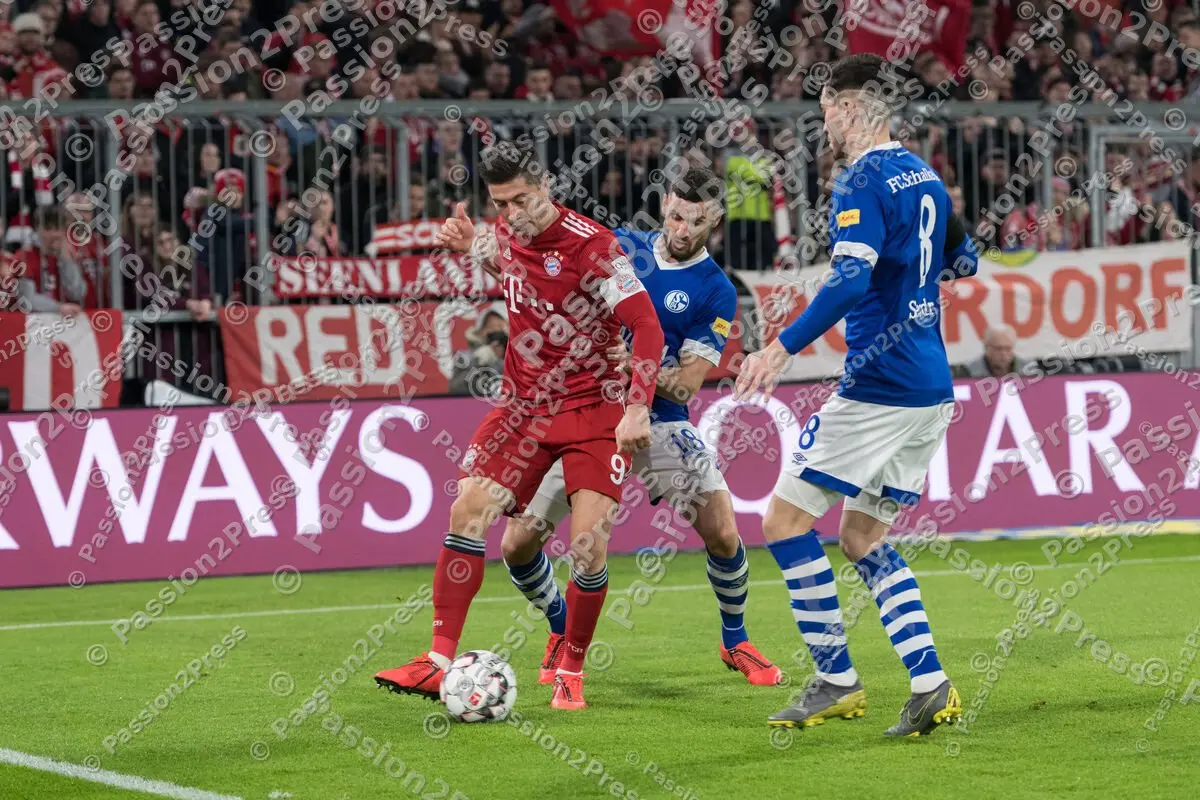 FCBS04_20190209_0767