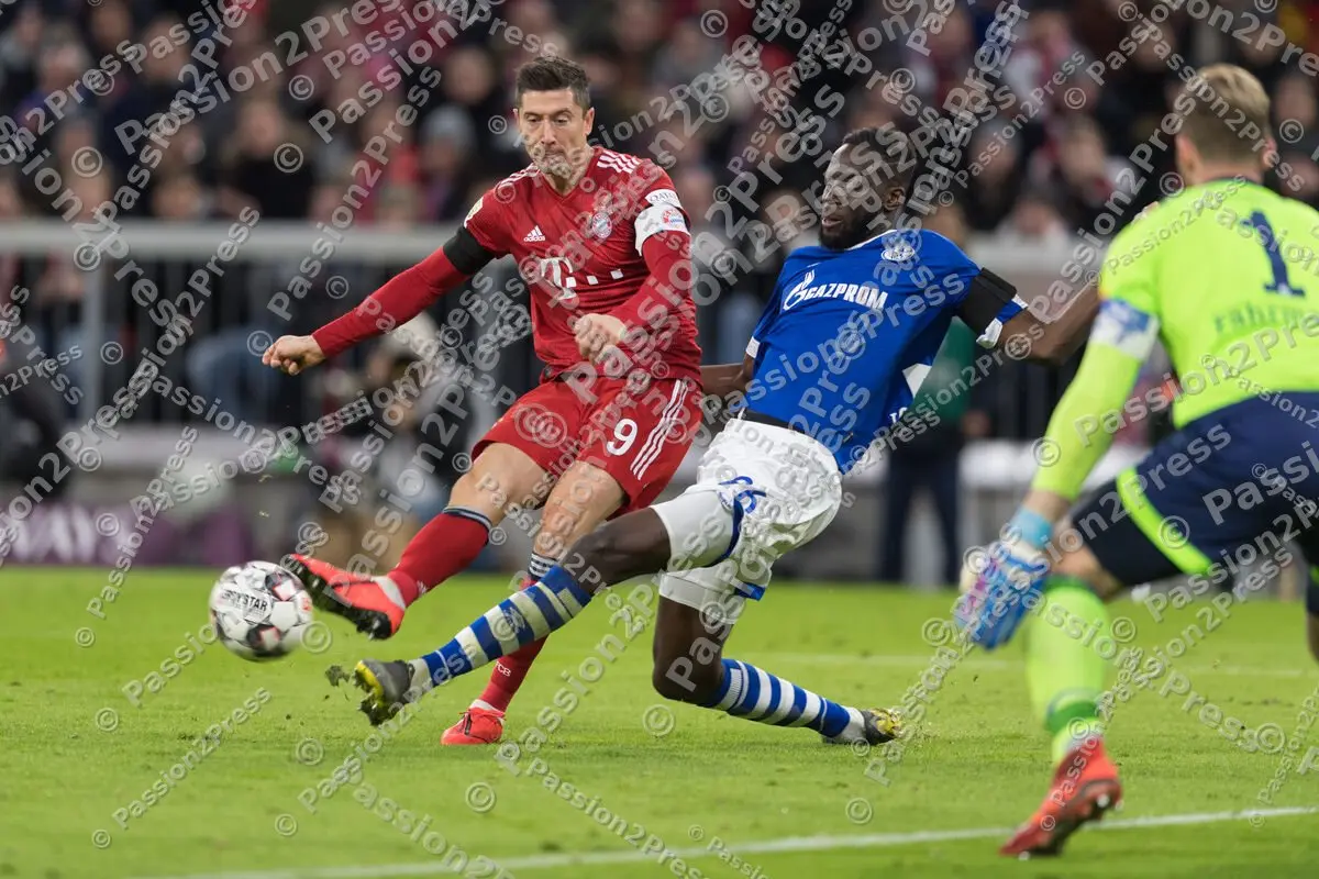 FCBS04_20190209_1263