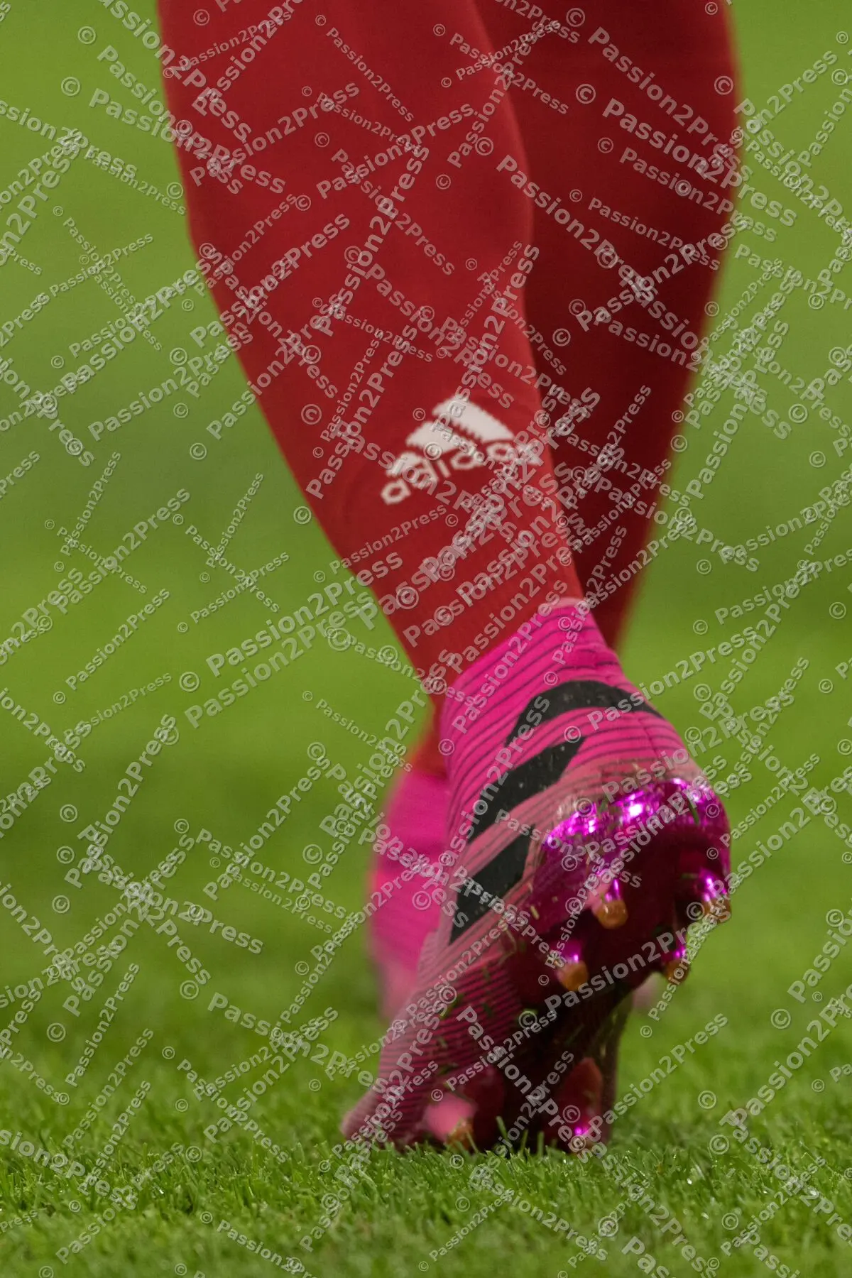 FCBHBSC_20190816_1125