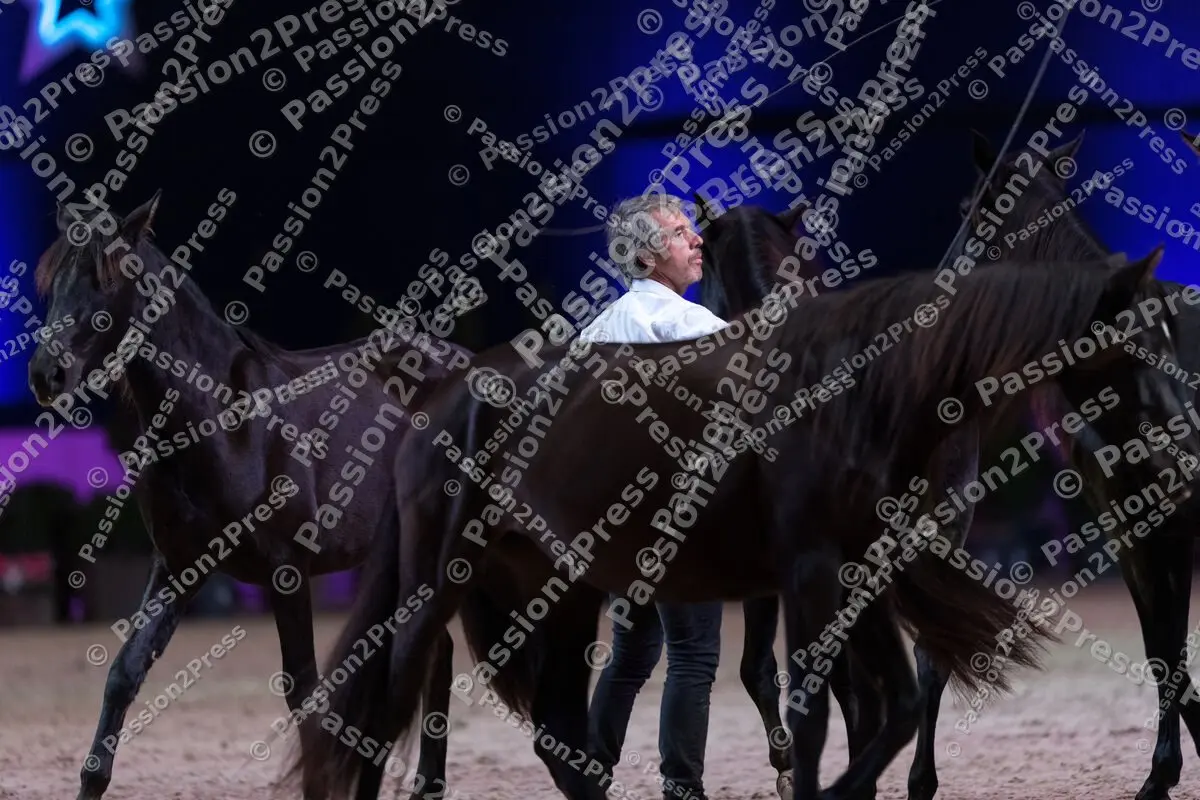 20191123 Munich Indoors Horse Gala