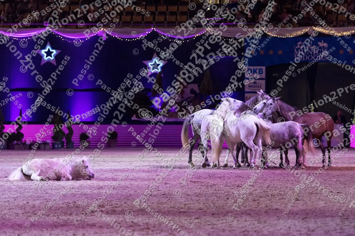 P2P_20191123_2020