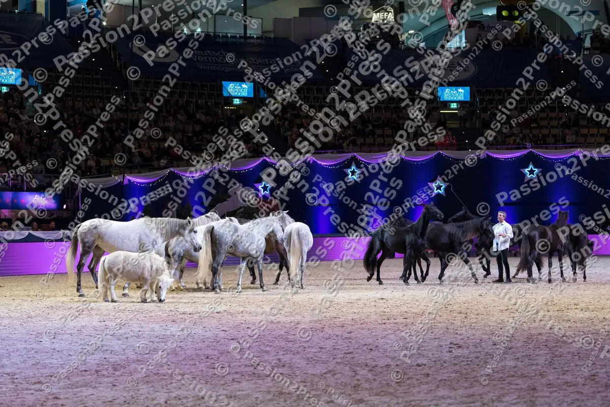P2P_20191123_2056