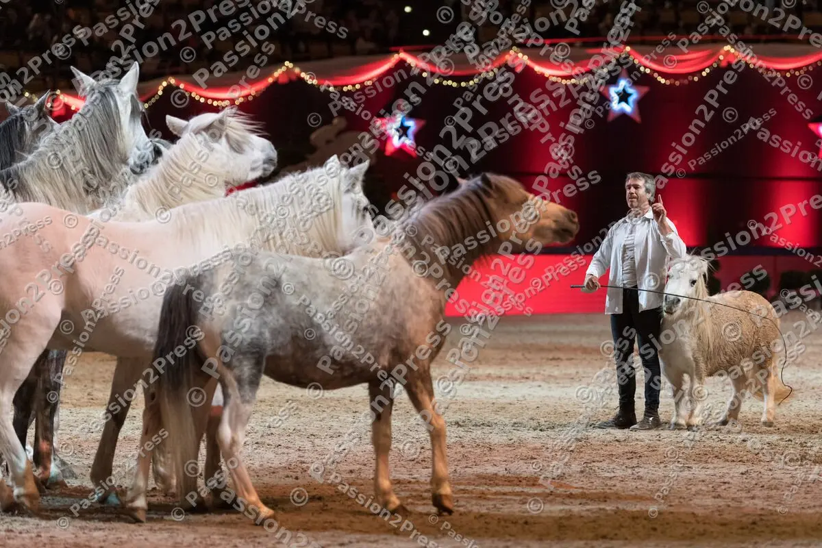 P2P_20191123_2252