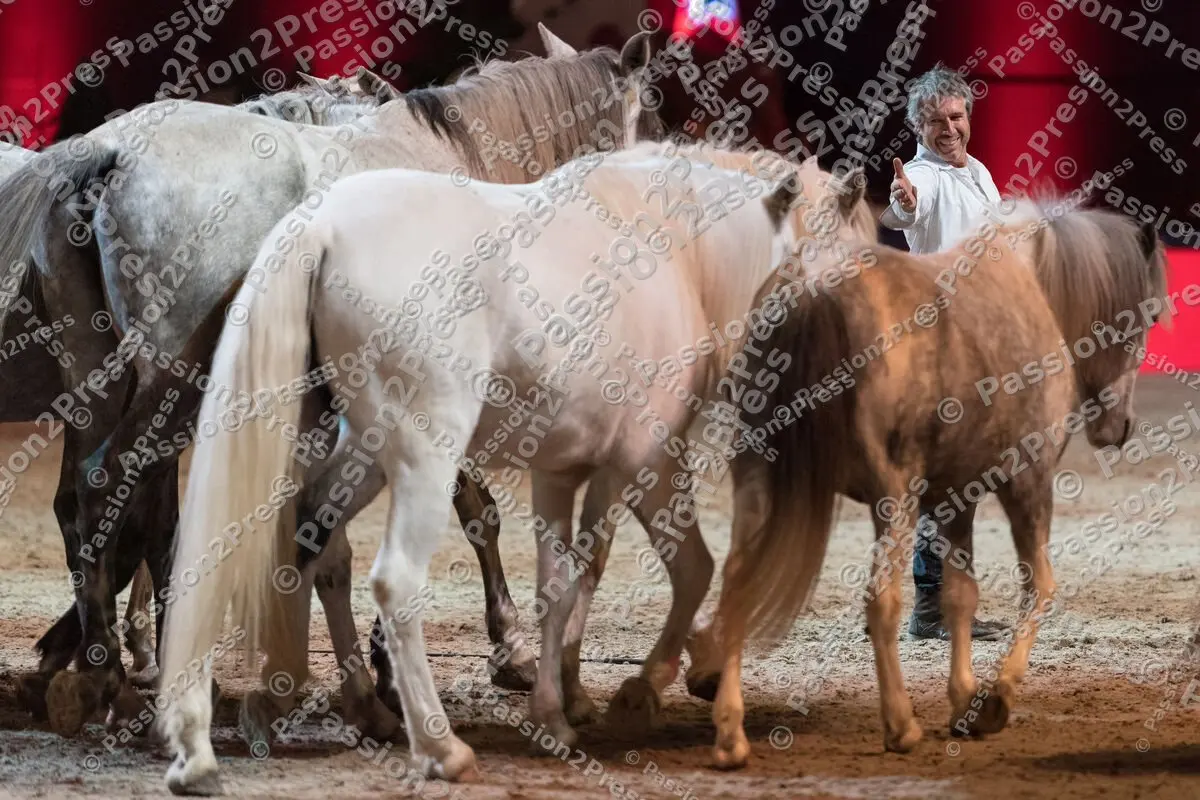 20191123 Munich Indoors Horse Gala