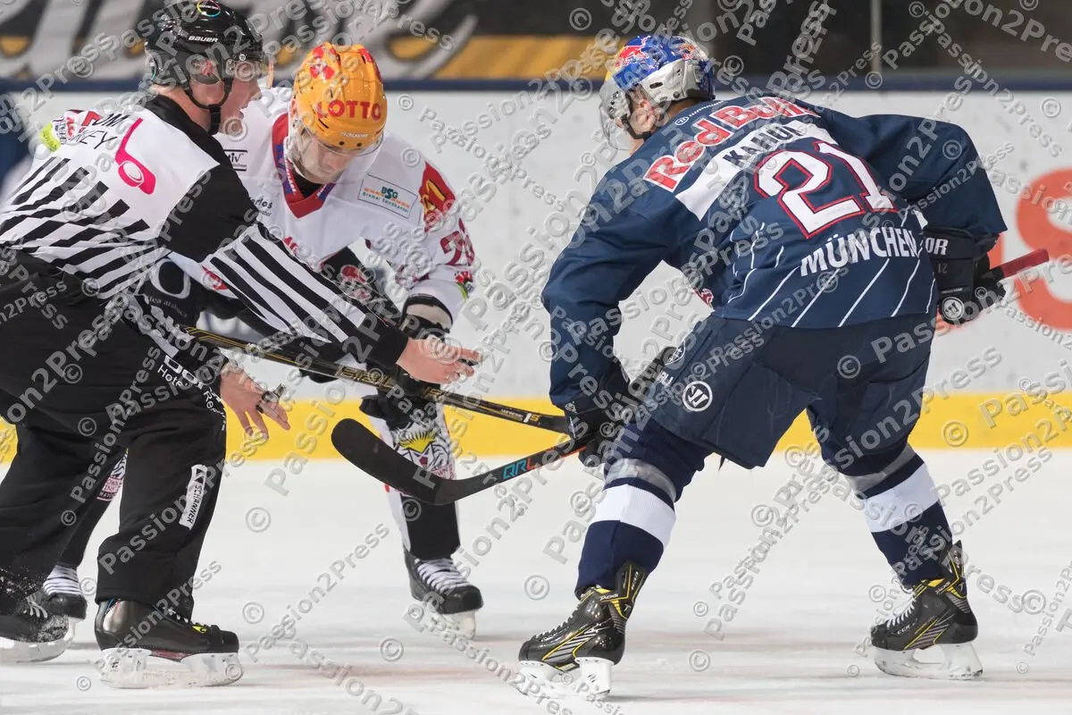 mf_RBMREV_20170120_0599