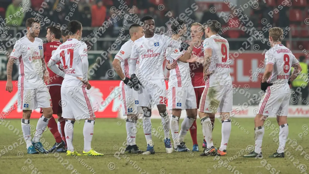 mf_FCIHSV_20170128_1338