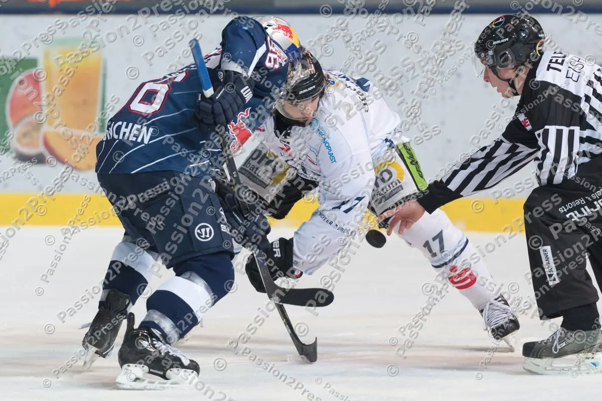 mf_RBMSR_20170129_1047