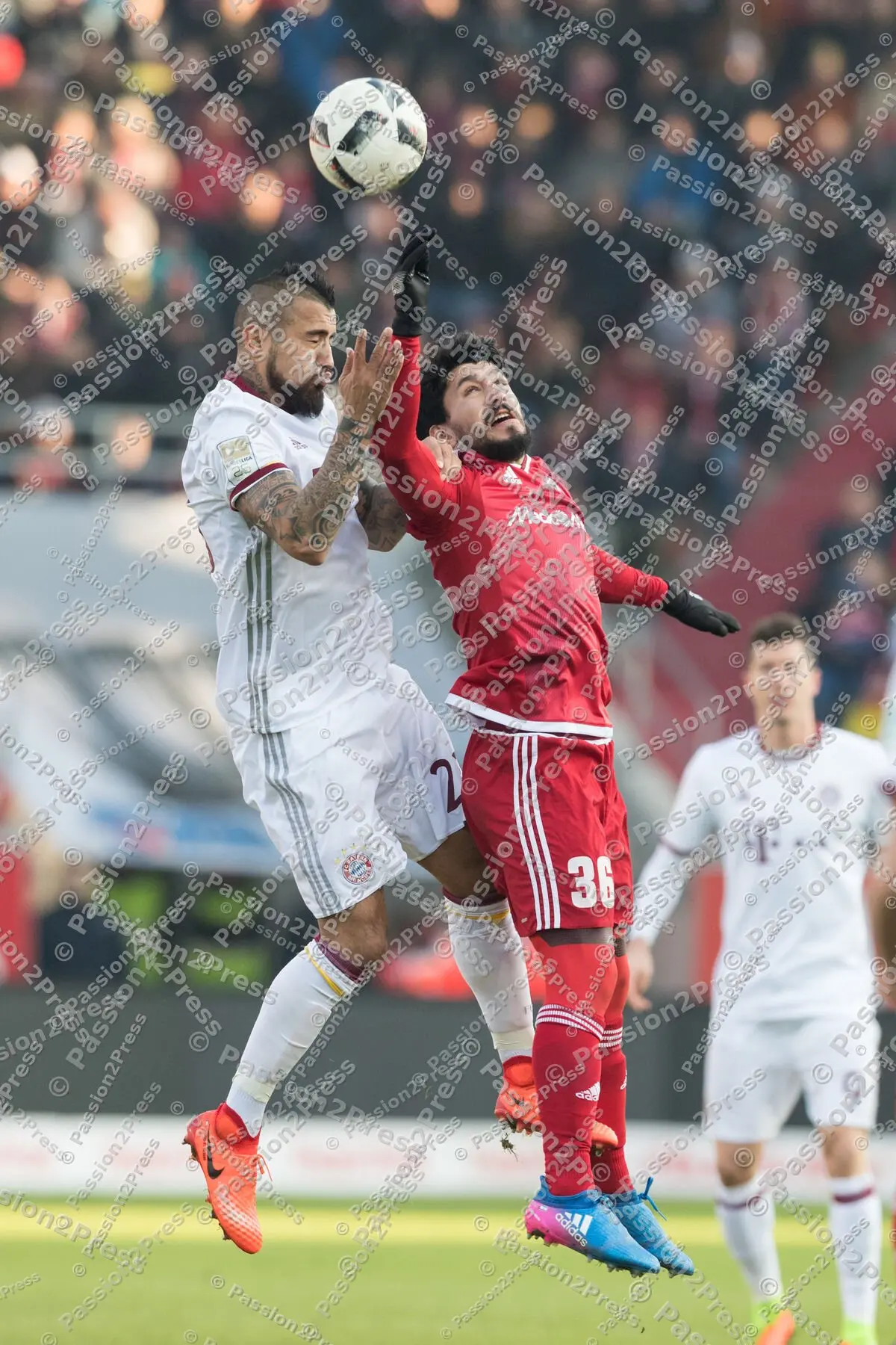 mf_FCIFCB_20170211_0268