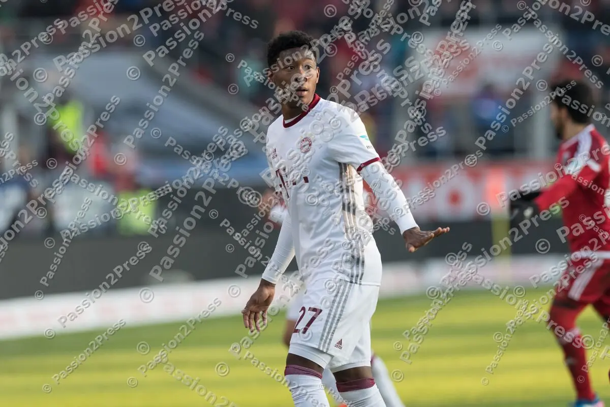 mf_FCIFCB_20170211_0680