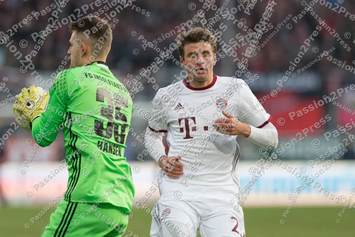 mf_FCIFCB_20170211_0889