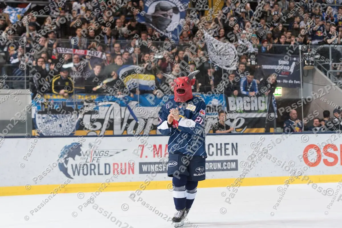 mf_RBMAEV_20170222_1814