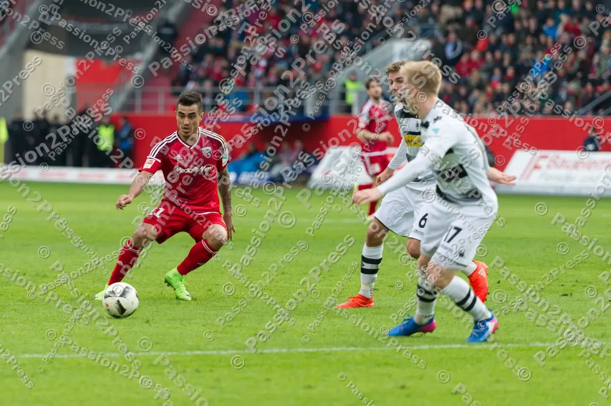 mf_FCIBMG_20170226_0276