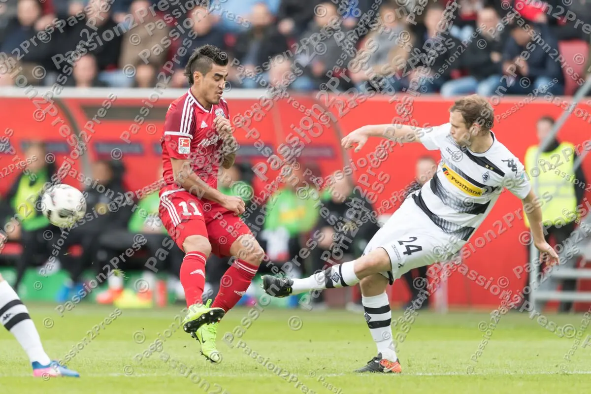 mf_FCIBMG_20170226_0290