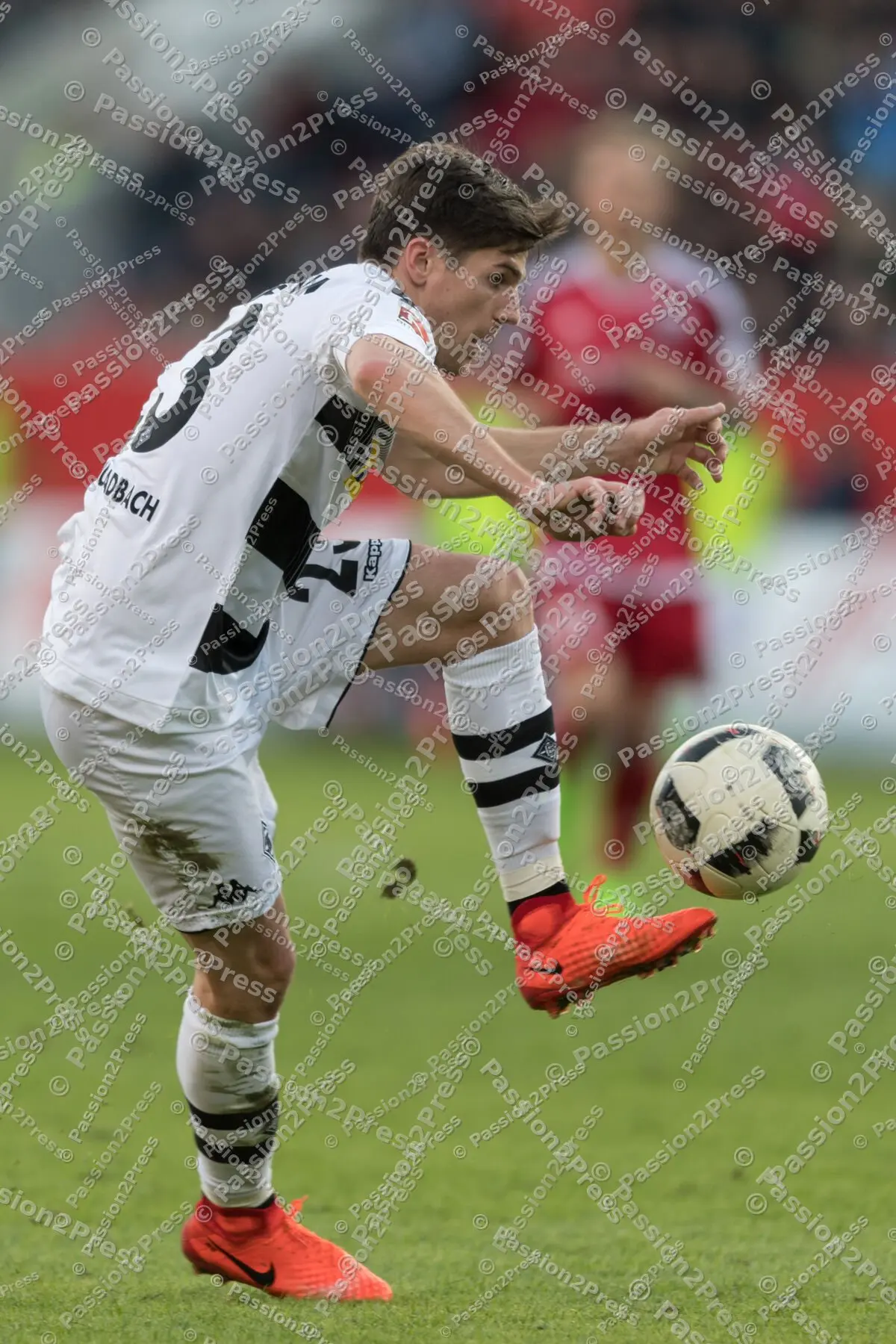 mf_FCIBMG_20170226_0771