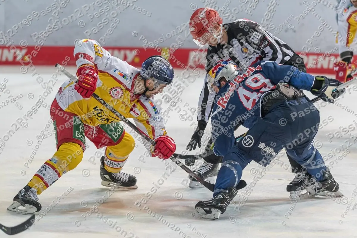 RBMDEG_20201211_1499