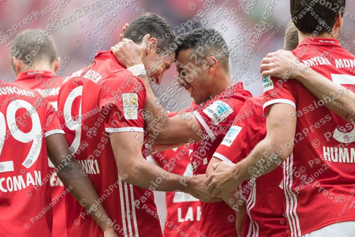 mf_FCBFCA_20170401_1484