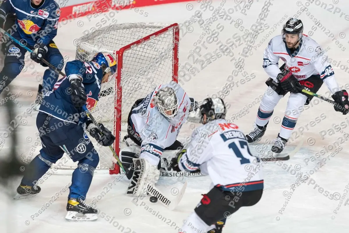 RBMNBG_20210305_2084