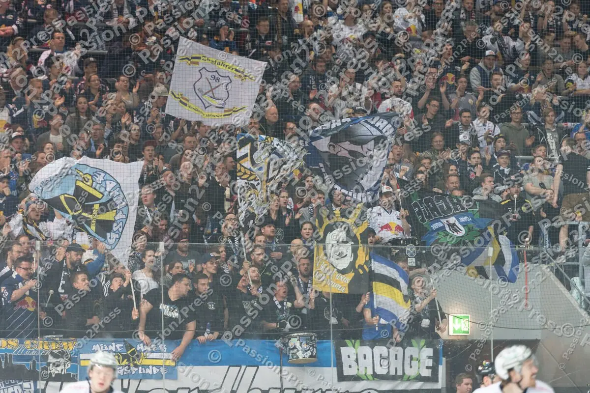 mf_RBMEBB_20170328_0296