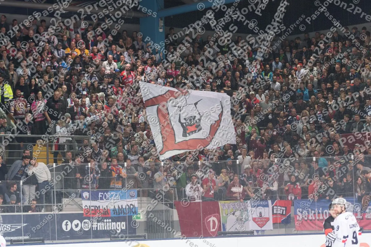 mf_RBMEBB_20170328_0688