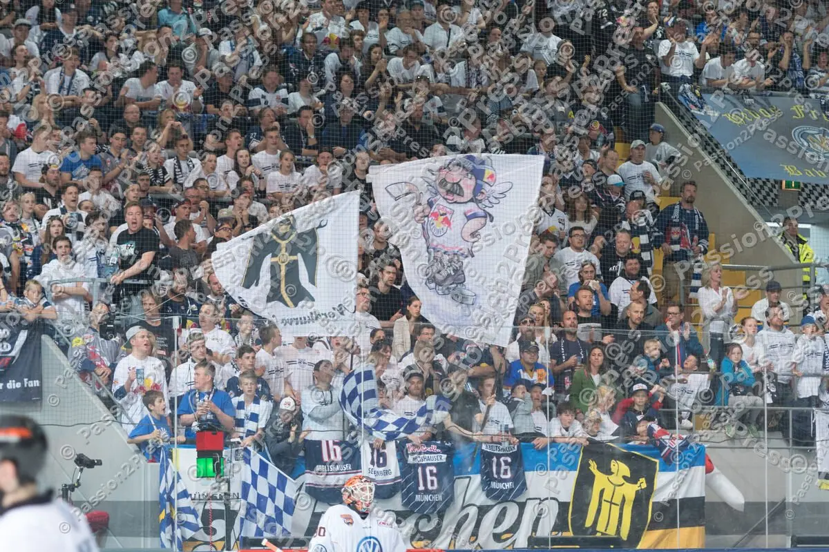 mf_RBMWOB_20170409_1880