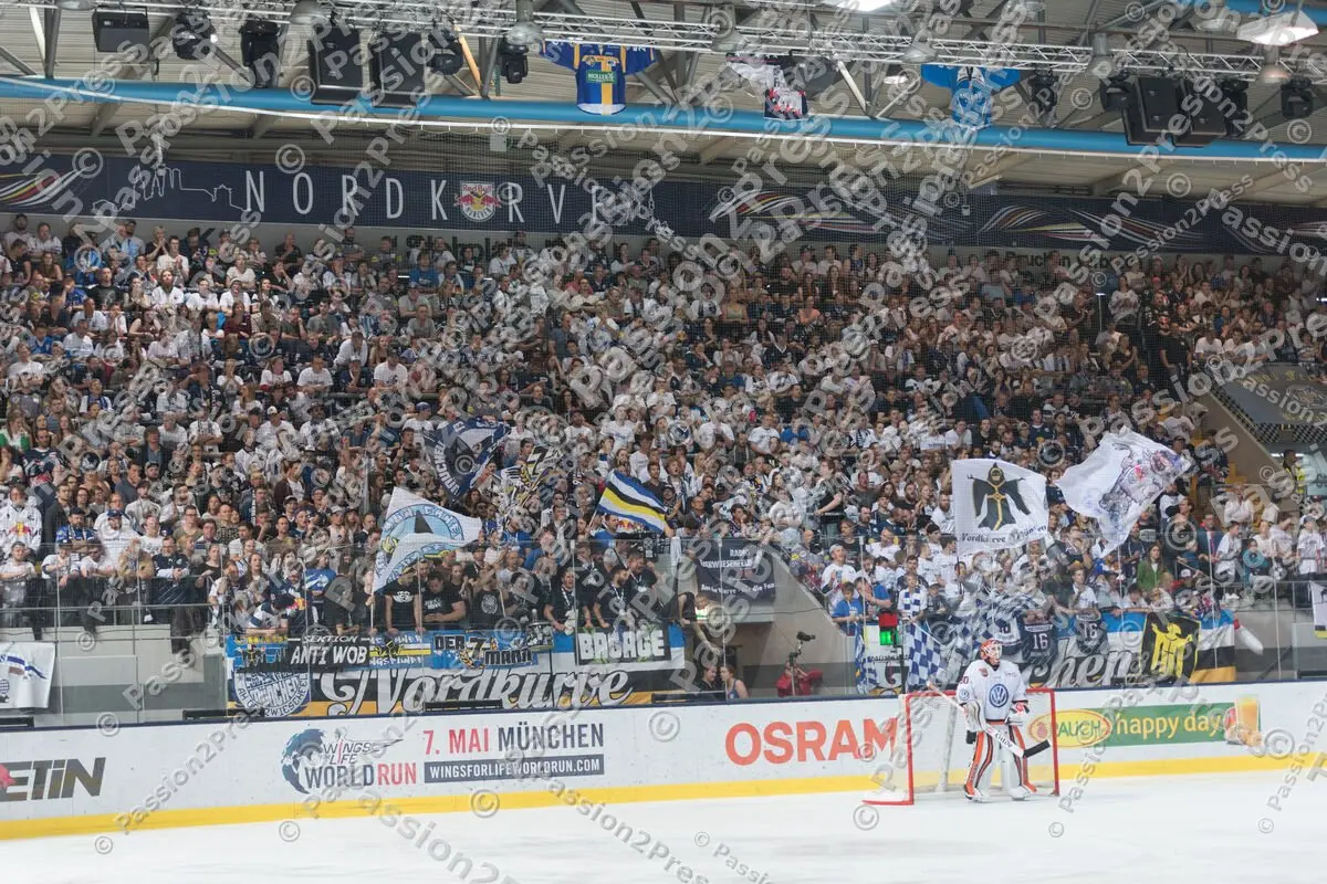 mf_RBMWOB_20170409_1884