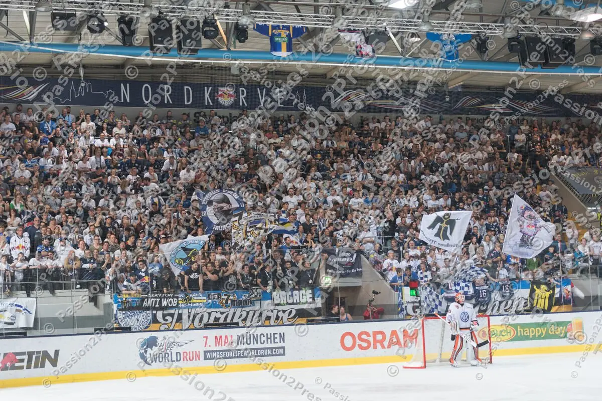 mf_RBMWOB_20170409_1896